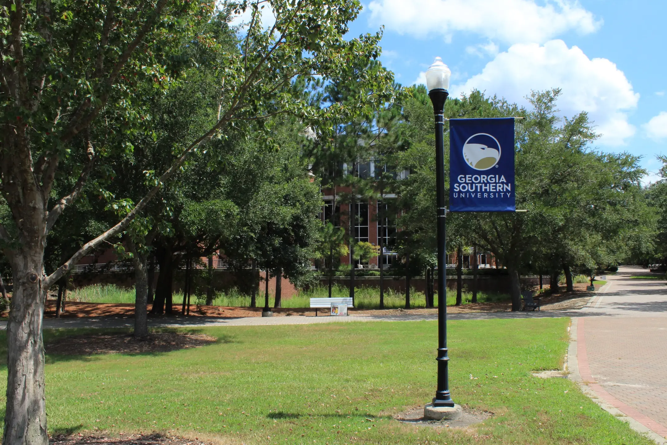 A Georgia Southern University banner on the Georgia Southern University Statesboro campus